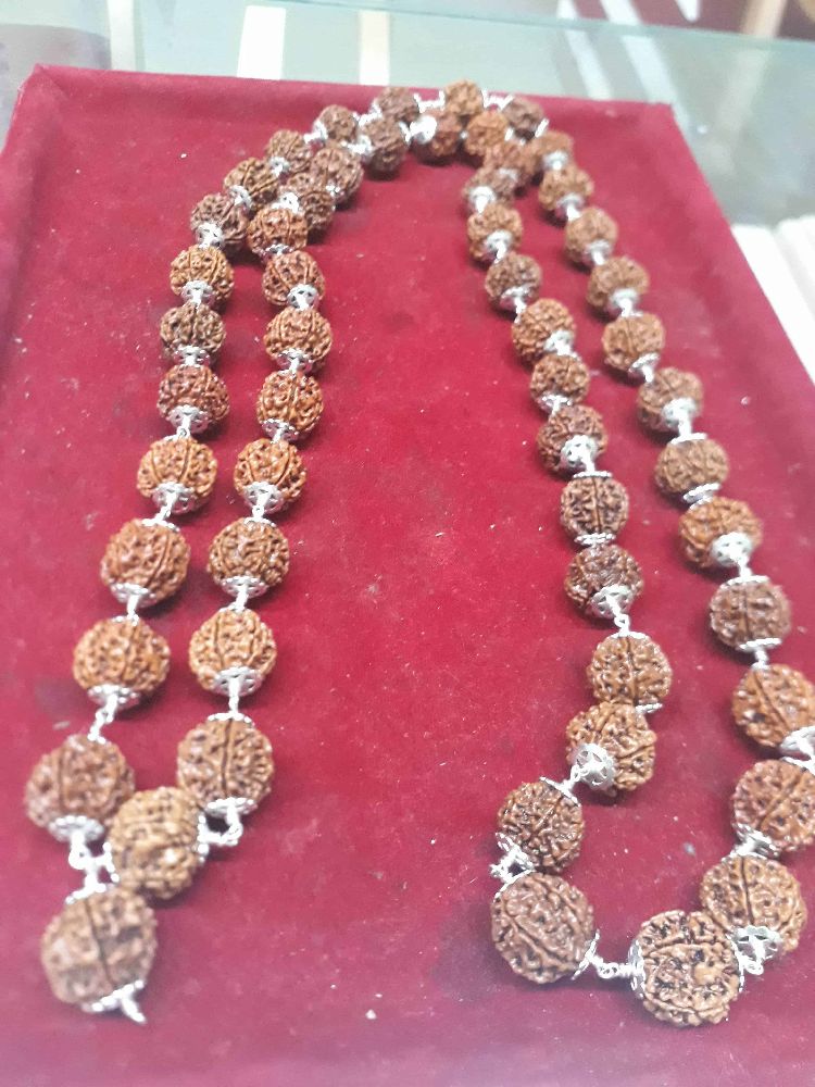 Collection of Authentic Rudraksha Beads 11